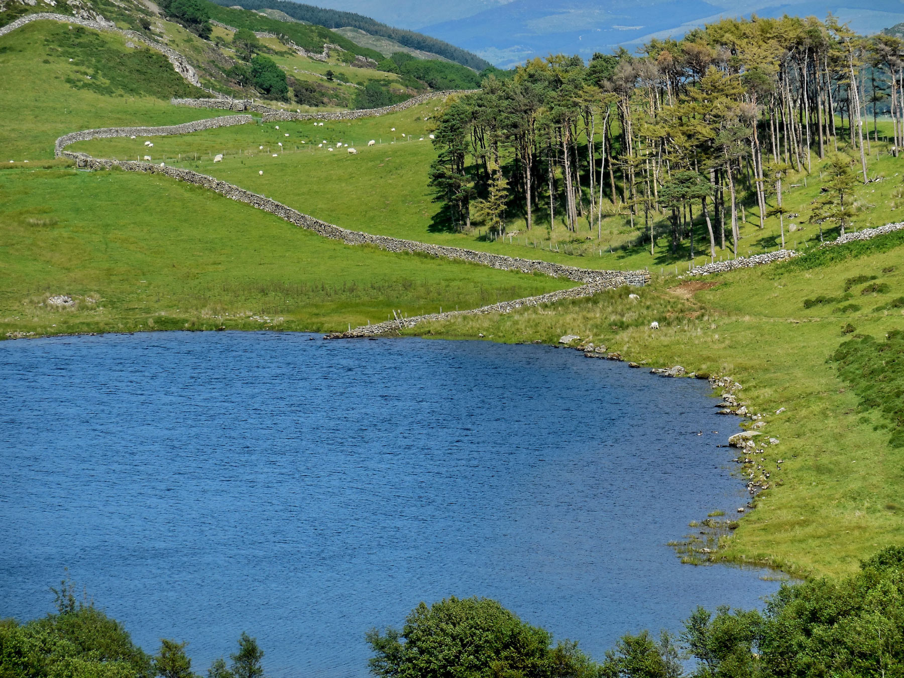 Gregennen lake, Snowdonia National Park